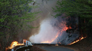 Incendios forestales se propagan y acechan una localidad del norte de Jap&oacute;n