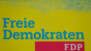 FDP er&ouml;ffnet Bundesparteitag in Berlin - Kubicki soll Vorsitz &uuml;bernehmen