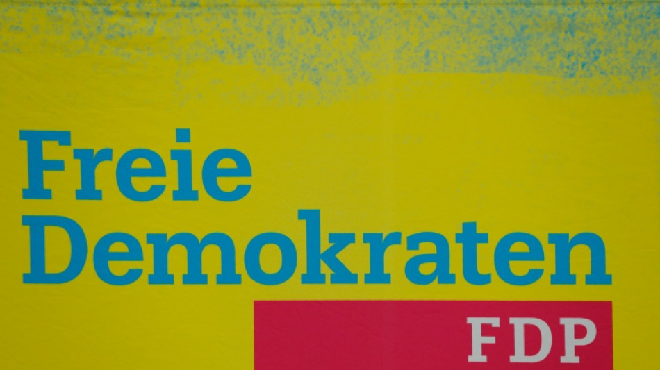 Kubicki will FDP zur Partei der Wirtschaftsreformen machen