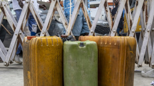 El balance de la explosi&oacute;n de un cami&oacute;n cisterna en Nigeria asciende a 86 muertos