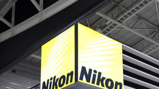 Cellule, spore e insetti nelle 20 migliori foto del 'micromondo'