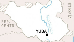 Veinte muertos al estrellarse un avi&oacute;n en Sud&aacute;n del Sur