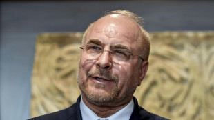 Media, 'Usa valutano presidente del Parlamento iraniano come potenziale leader'