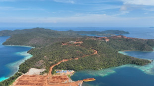 Explotaci&oacute;n de n&iacute;quel amenaza importante reserva de biodiversidad marina en Indonesia