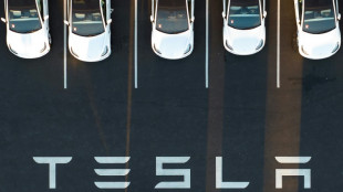 Racisme et discriminations: l'envers du d&eacute;cor de l'usine californienne de Tesla