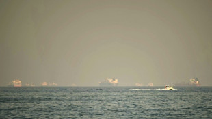Shipping toll for Hormuz passage sharply divides nations