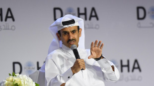 'Interrotta la produzione di gnl nel pi&ugrave; grande impianto al mondo in Qatar'