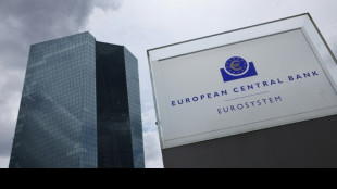 EZB kann Garantie f&uuml;r Reparationsdarlehen an die Ukraine nicht &uuml;bernehmen