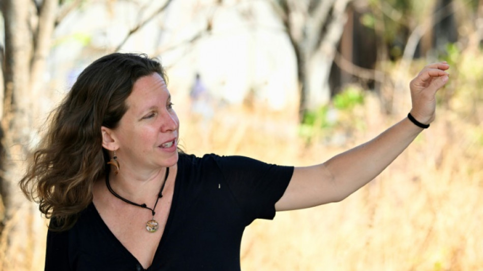 El Cerrado brasile&ntilde;o rebrota tras los incendios pero tiene sus l&iacute;mites