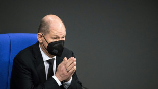 El partido del canciller alem&aacute;n es criticado por su supuesta cercan&iacute;a con Rusia