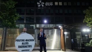 Greenpeace activists charged with theft of Macron waxwork