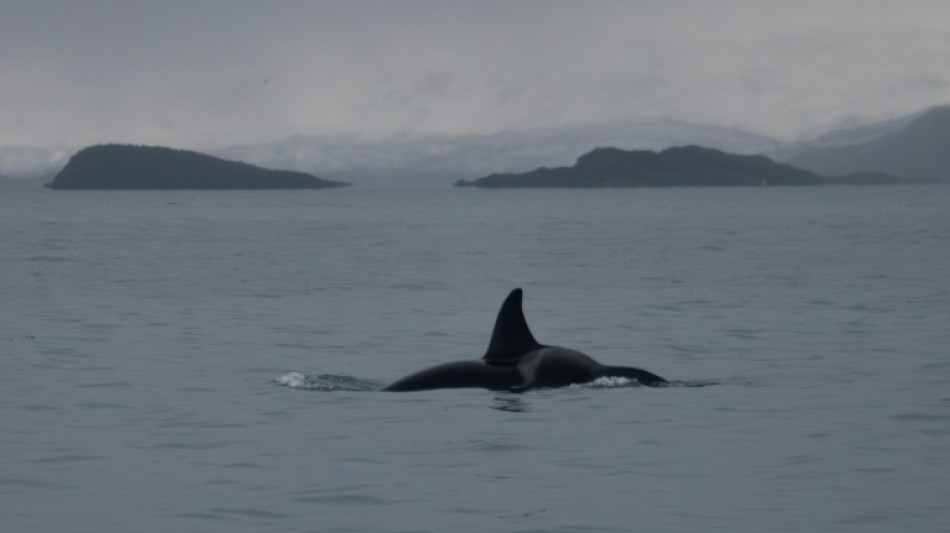 La cumbre de los océanos de Niza se termina con acuerdos pero sin financiación clara