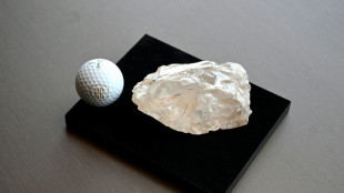 &iquest;El segundo diamante m&aacute;s grande del mundo ir&aacute; pronto a un museo?