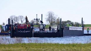 Buckelwal schwimmt in der Nordsee - Tier hat Lastkahn Samstagmorgen verlassen