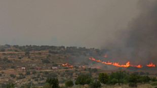 Israel reabre carreteras cerradas por incendio cerca de Jerusal&eacute;n que sigue activo