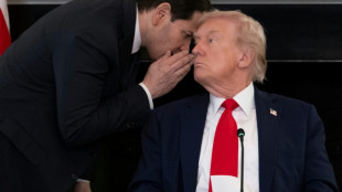 Israel und Hamas stimmen erster Phase von Friedensplan zu