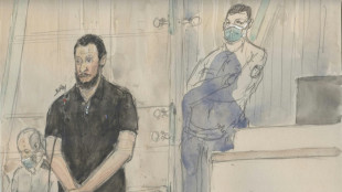 En el juicio de los atentados de Par&iacute;s, "20 minutos" de im&aacute;genes y sonidos para comprender el horror