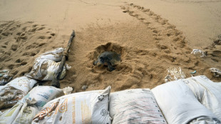 Hurac&aacute;n Hilary avanza en el noroeste de M&eacute;xico como categor&iacute;a 3