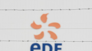 Francia reflota el gigante energ&eacute;tico EDF con casi 2.700 millones de euros