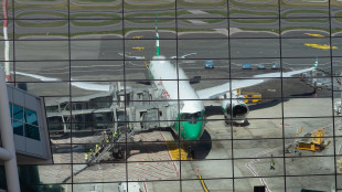 L'Ue ribadisce, 'non ci sono carenze di carburante per aerei, monitoriamo'