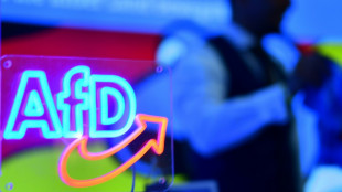 Einigung mit Hechingen: Parteitag von baden-württembergischer AfD wird verschoben