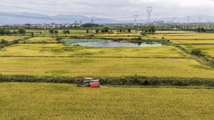 Ente Risi all'Ue, 'non tratti la risicoltura come merce di scambio'