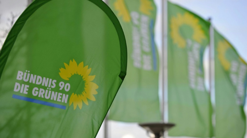 Kritiker von Gr&uuml;nen-Parteireform klagen gegen geplante Urabstimmung