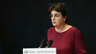 Louvre-Direktorin: Museums-Fassade nicht ausreichend durch Kameras geschützt