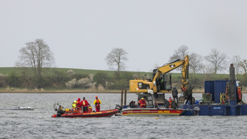 Waldrama vor Insel Poel: Spezialschute f&uuml;r Transport erreicht Ostsee