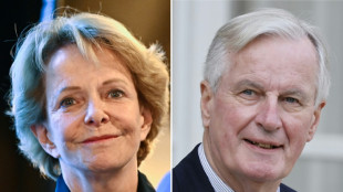 Michel Barnier favori pour devenir d&eacute;put&eacute; LR de Paris 