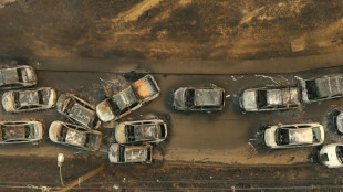 Al&iacute;vio moment&acirc;neo em &aacute;rea afetada por inc&ecirc;ndios no Chile