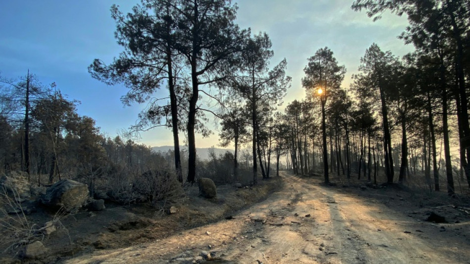 Espa&ntilde;a enfrenta d&iacute;as claves para frenar los incendios cerca de Madrid