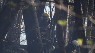 Jap&oacute;n contiene tras 11 d&iacute;as uno de los mayores incendios forestales en d&eacute;cadas