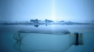 Mitad de ventas de agua embotellada alcanzar&iacute;a para dar acceso universal al agua potable (ONU)