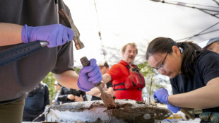 El ser humano provoc&oacute; el Antropoceno, &iquest;podr&aacute; ahora revertir el cambio clim&aacute;tico?