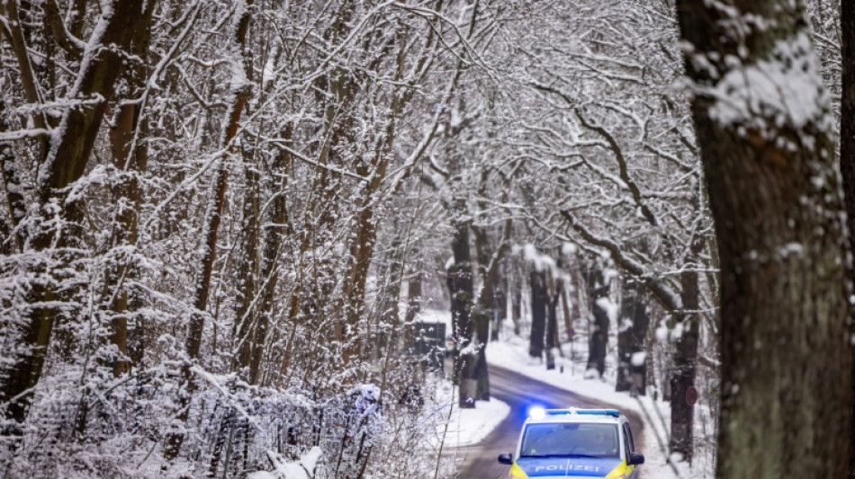 Weiterer Toter durch Schneebruch in Bayern - Von Ast getroffener Radfahrer stirbt