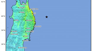Giappone lancia allerta per possibile maxi terremoto nel nord