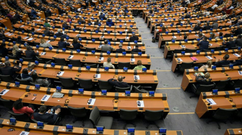 Cerca 150 eurodiputados piden que se recurra el acuerdo comercial con el Mercosur ante la justicia