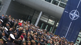 Tutti gli alleati Nato al 2%, spesa Italia a 45 miliardi