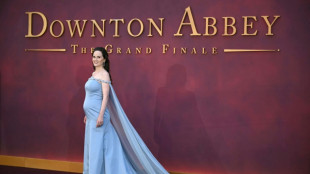 'Downton Abbey' stars tread red carpet for finale