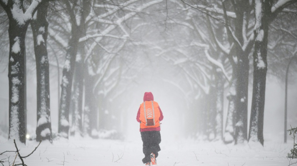 Wetterdienst: Januar in Deutschland teils so schneereich wie seit 2010 nicht mehr