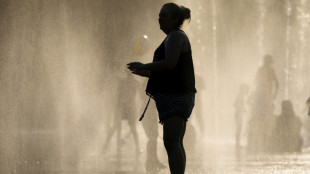 Fuerte aumento en julio en Espa&ntilde;a de las muertes atribuibles al calor