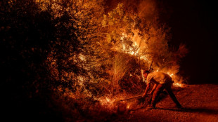 Schwere Waldbr&auml;nde in T&uuml;rkei und Griechenland - Auch Urlaubsorte betroffen