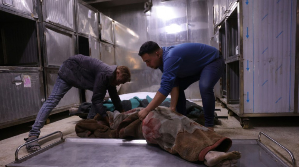 La ONU advierte del riesgo de hambruna en toda la Franja de Gaza