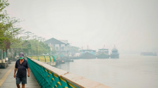 L'Indon&eacute;sie peine &agrave; ma&icirc;triser des incendies qui noient toute la r&eacute;gion dans la fum&eacute;e