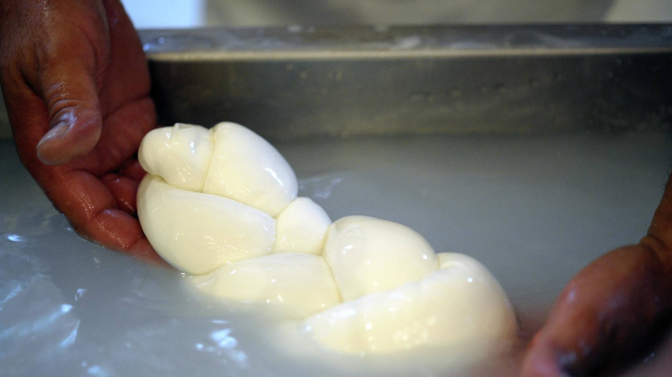 Mozzarella Bufala Dop alla fiera Anuga di Colonia