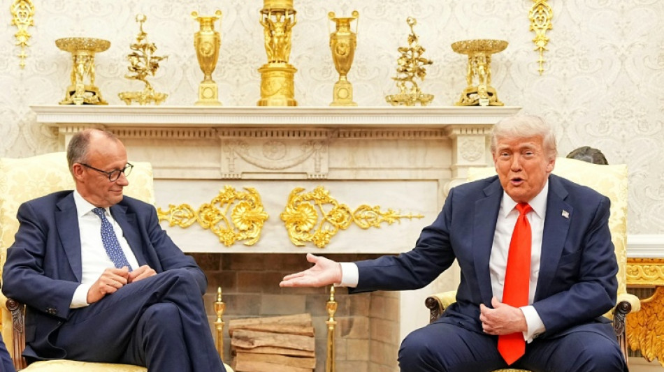 Merz lädt vor Putin-Trump-Gipfel zu virtuellem Ukraine-Treffen