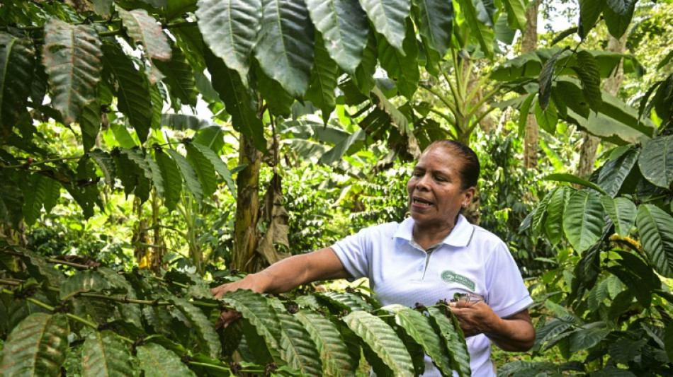 Entre montanhas verdes, agricultores cuidam da água do canal do Panamá