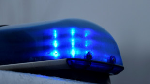 Ein Toter und ein Schwerverletzter bei Absturz eines Segelflugzeugs auf die A45