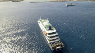Mutma&szlig;licher Hantavirus-Ausbruch: Deutscher unter Todesopfern auf Kreuzfahrtschiff